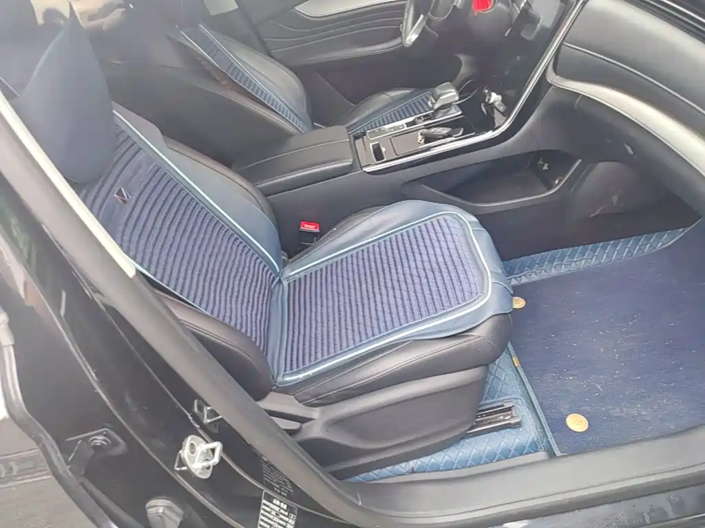 Roewe RX5 MAX 2020 — фото 25