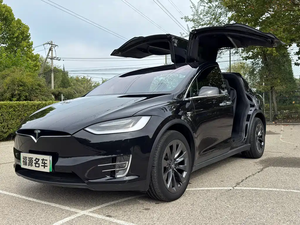 Tesla Model X 2018 — фото 4