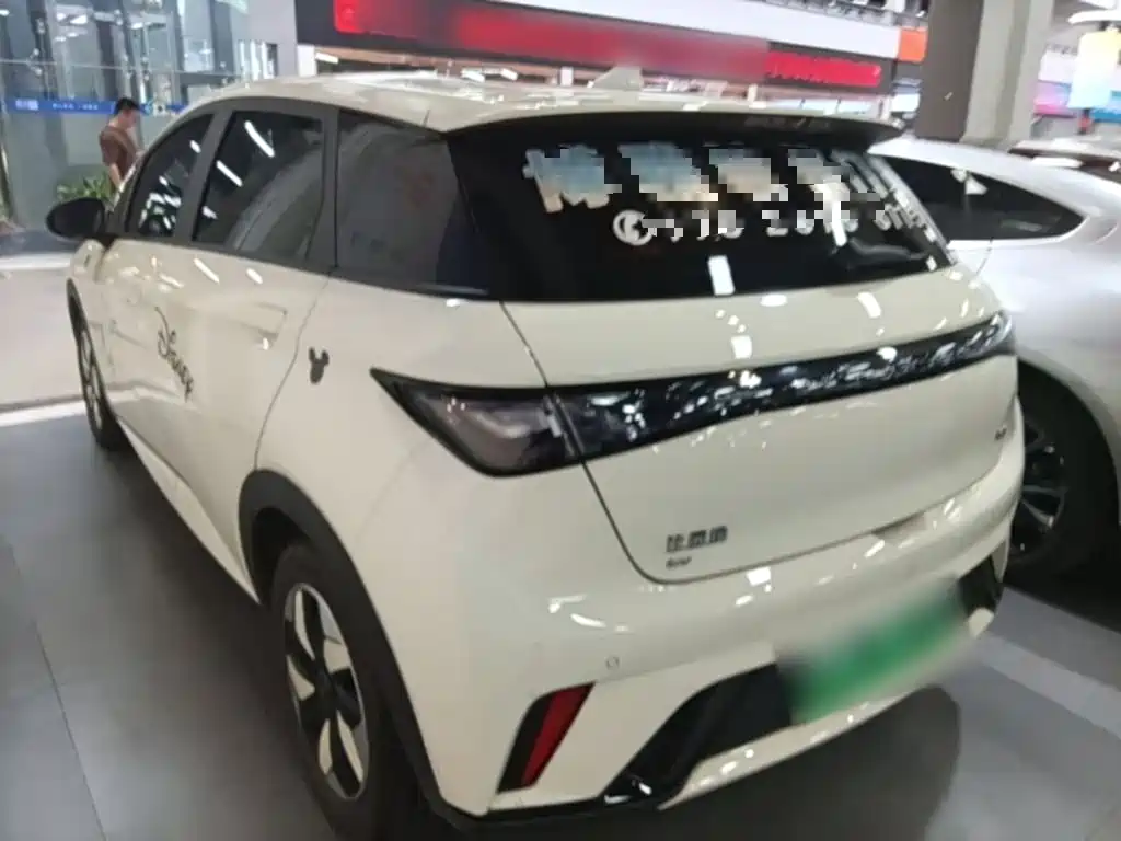 BYD Dolphin 2025