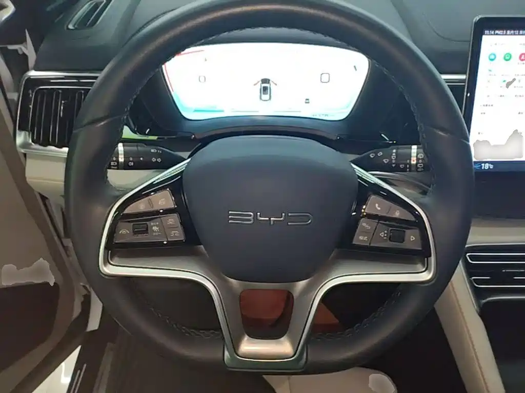 BYD PLUS New Energy 2024 — фото 11