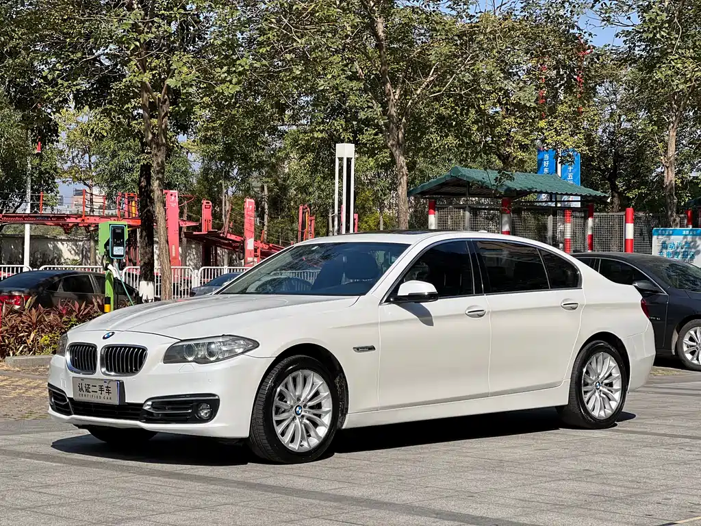 BMW 5 Series 2014 — фото 1