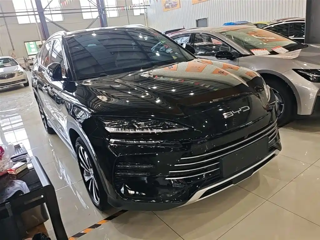 BYD PLUS New Energy 2024 — фото 4