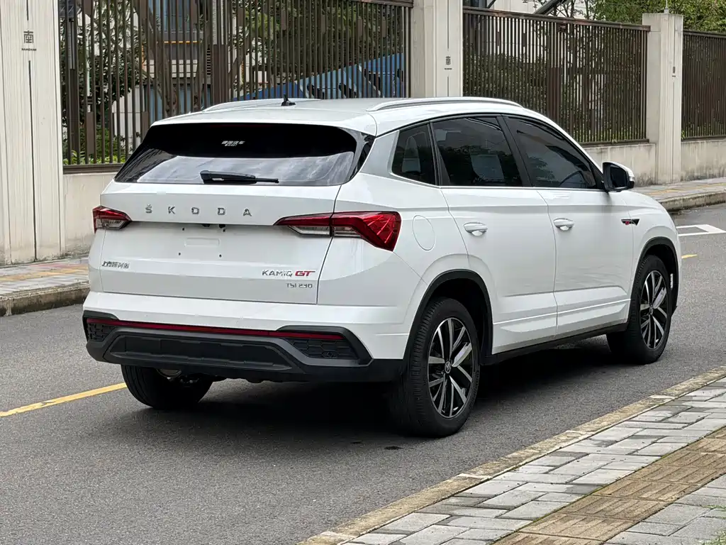 Skoda Kamiq 2020 — фото 8