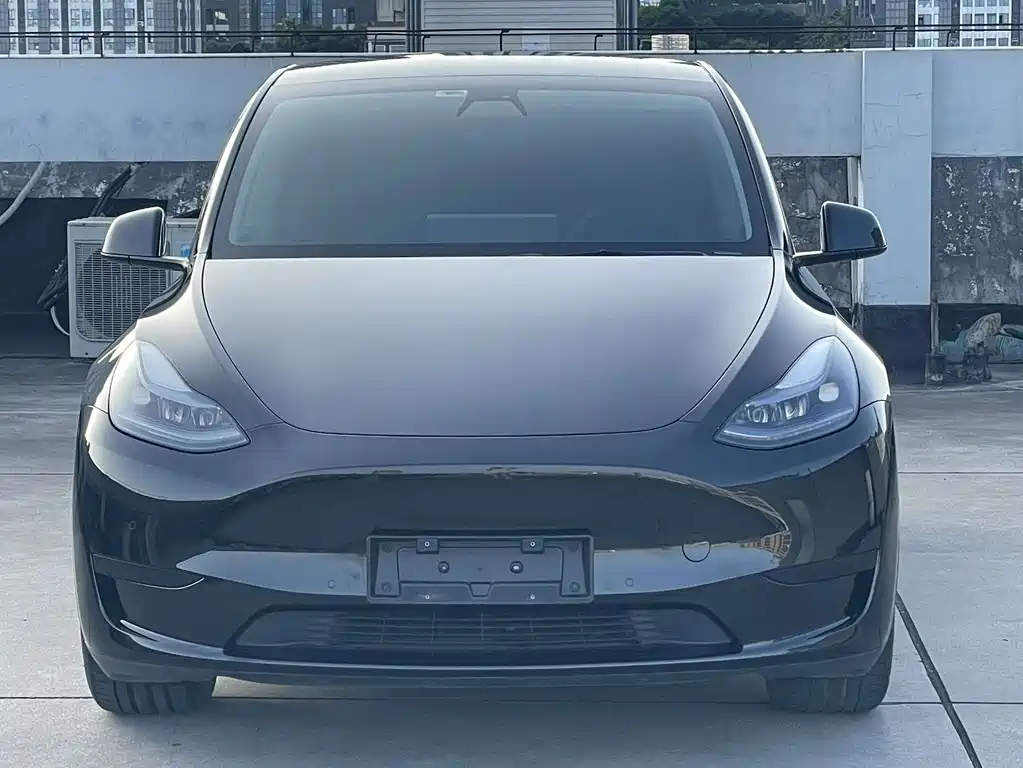 Tesla Model Y 2023 — фото 2