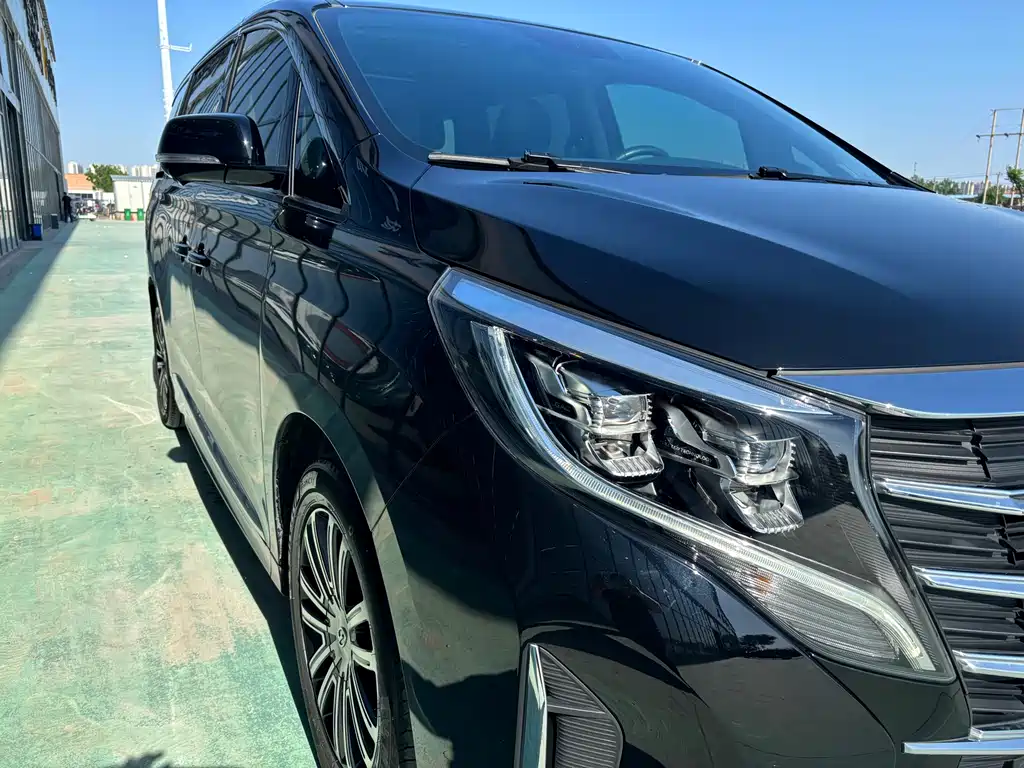 GAC Motor Trumpchi M8 2023 — фото 17