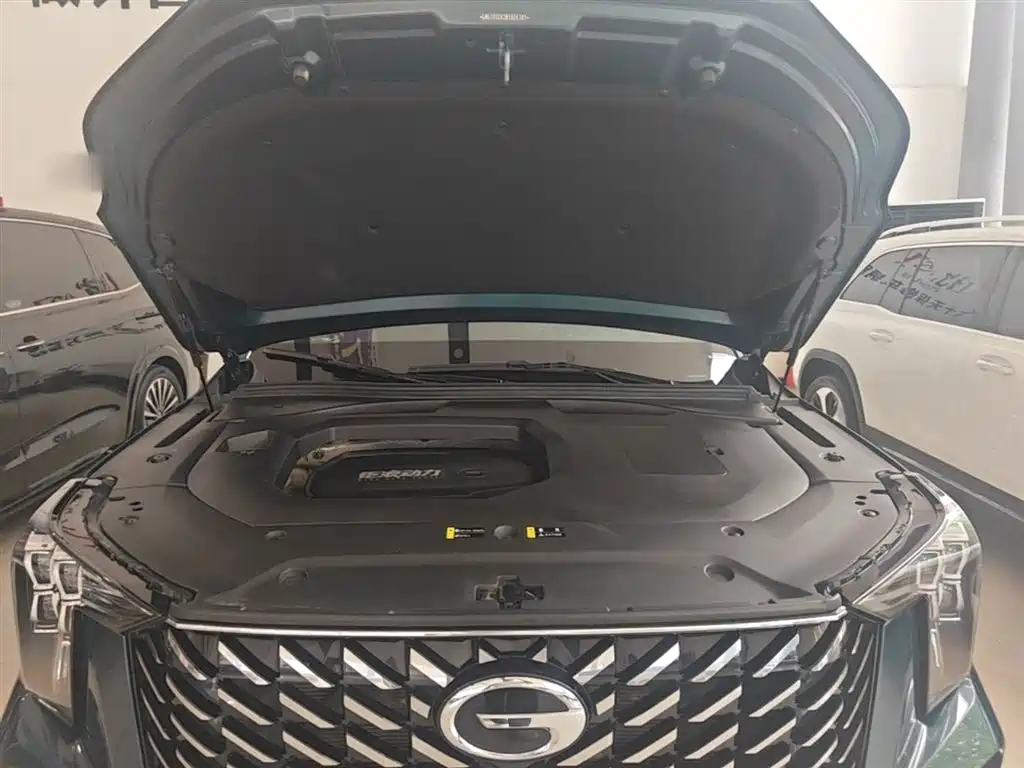 GAC Motor Trumpchi GS8 2021 — фото 20
