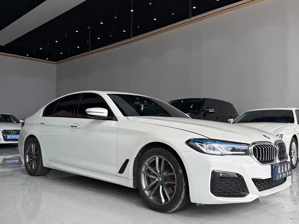 BMW 5 Series 2018 — фото 3