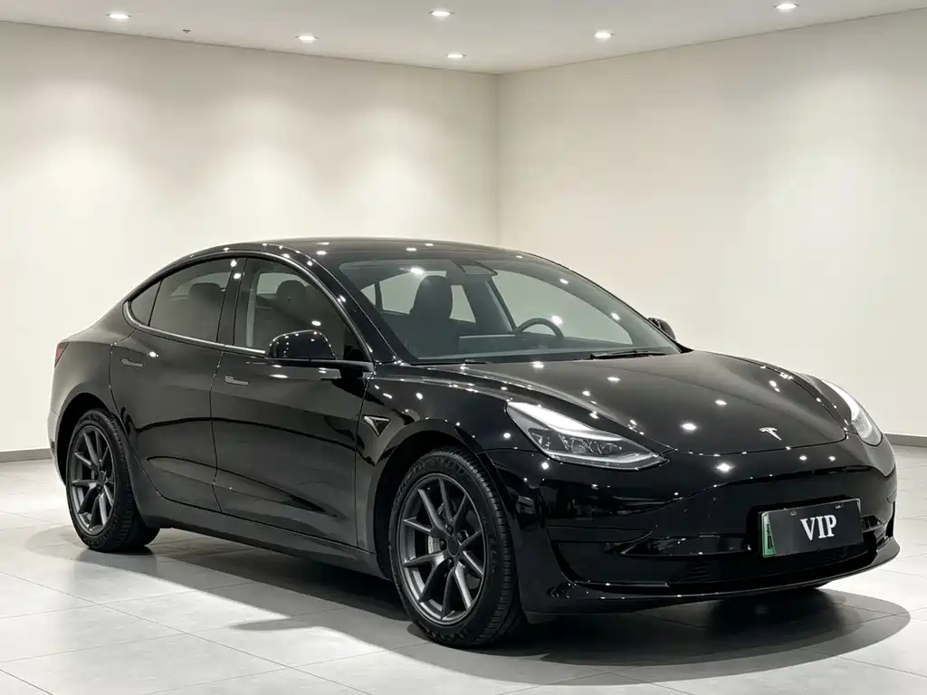 Tesla Model 3 2021 — фото 1