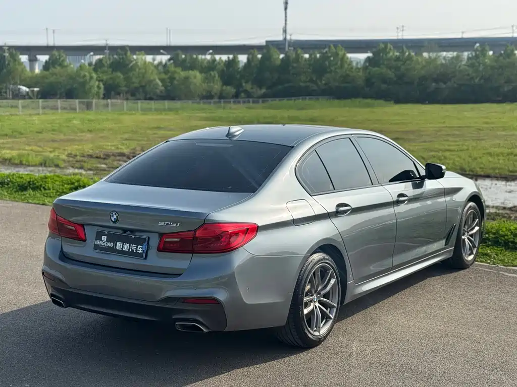 BMW 5 Series 2019 — фото 14