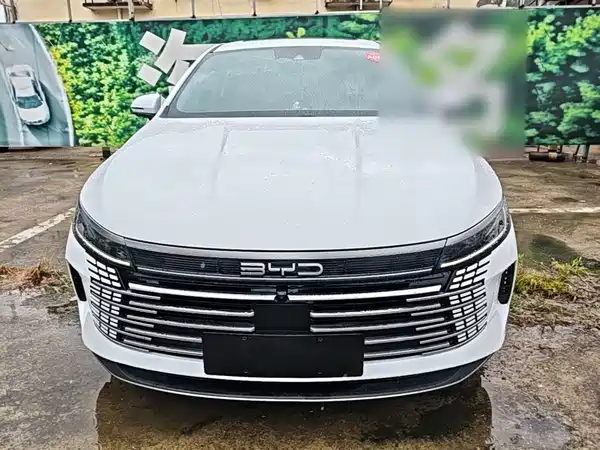 BYD Destroyer 05 2022