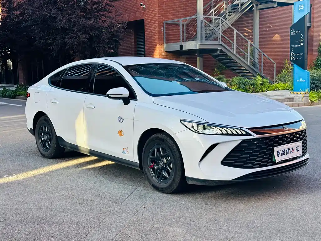 BYD Qin PLUS 2025 — фото 3