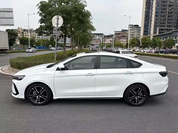 Geely Binrui 2024