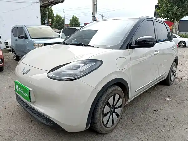 Wuling Bingo 2025