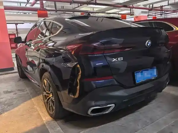 BMW X6 2021