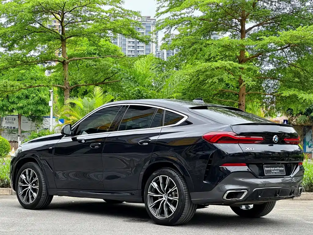 BMW X6 2020 — фото 6