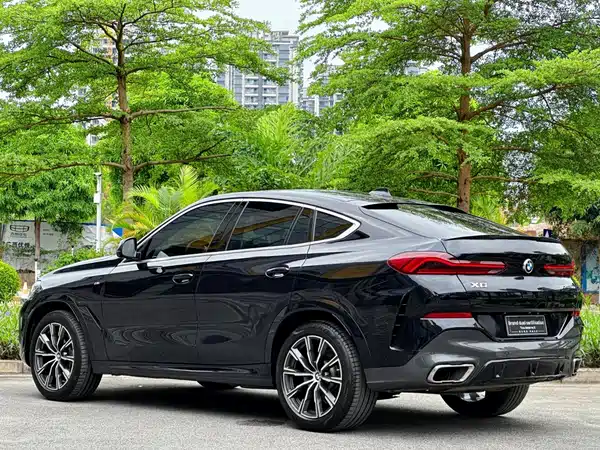 BMW X6 2020