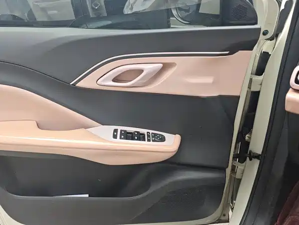 BYD Seagull 2024