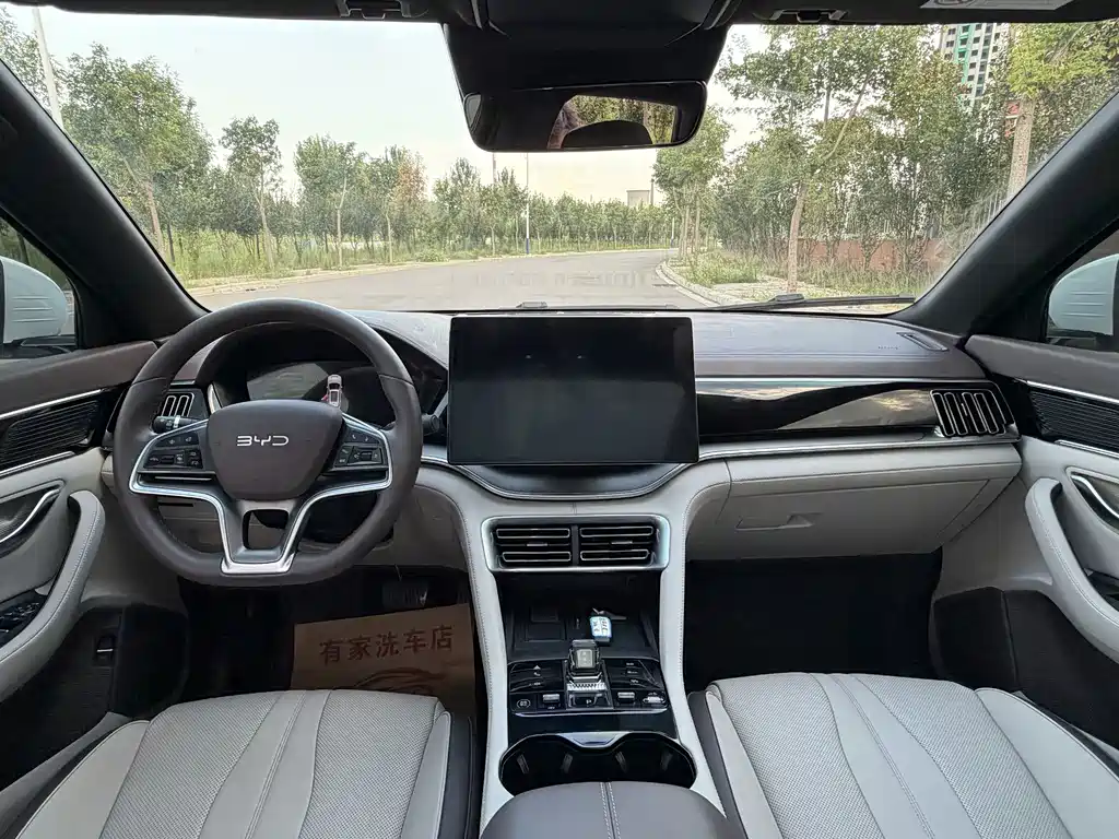 BYD Song PLUS New Energy 2024 — фото 11