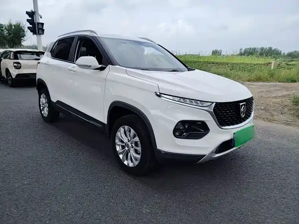 Baojun 510 2019