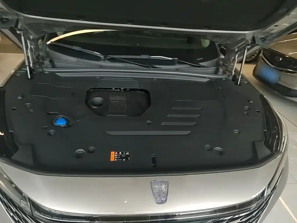 Roewe RX5 New Energy 2023 — фото 20