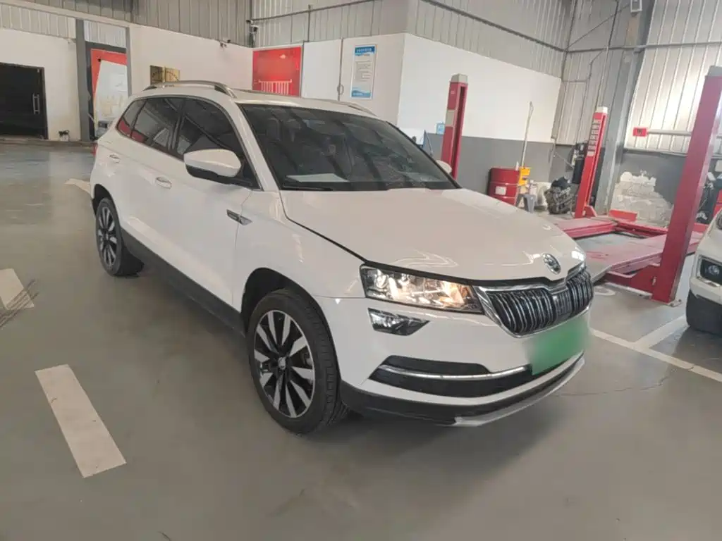 Skoda Karoq 2019 — фото 4