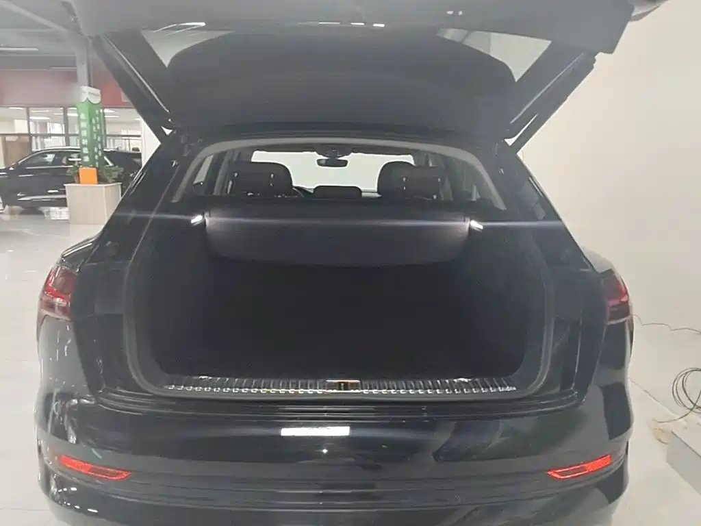 Audi e-tron 2021 — фото 19