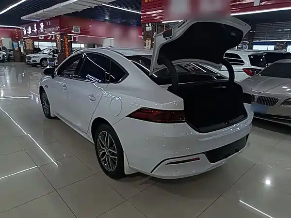 BYD Qin PLUS 2022