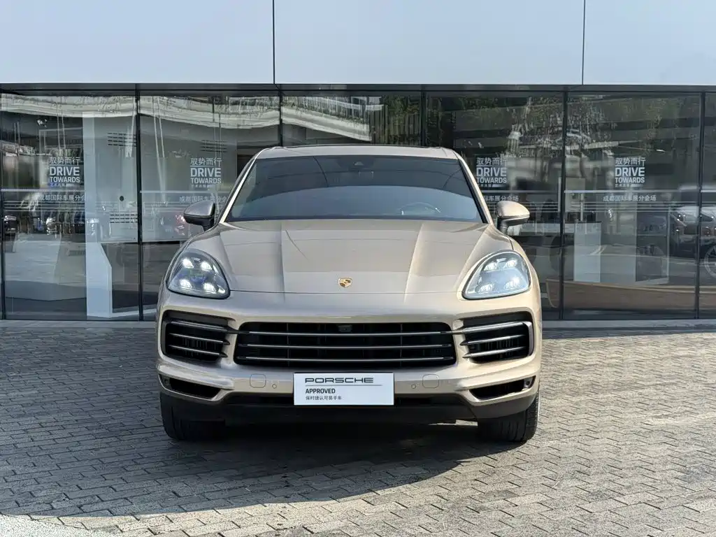 Porsche Cayenne 2019 — фото 11