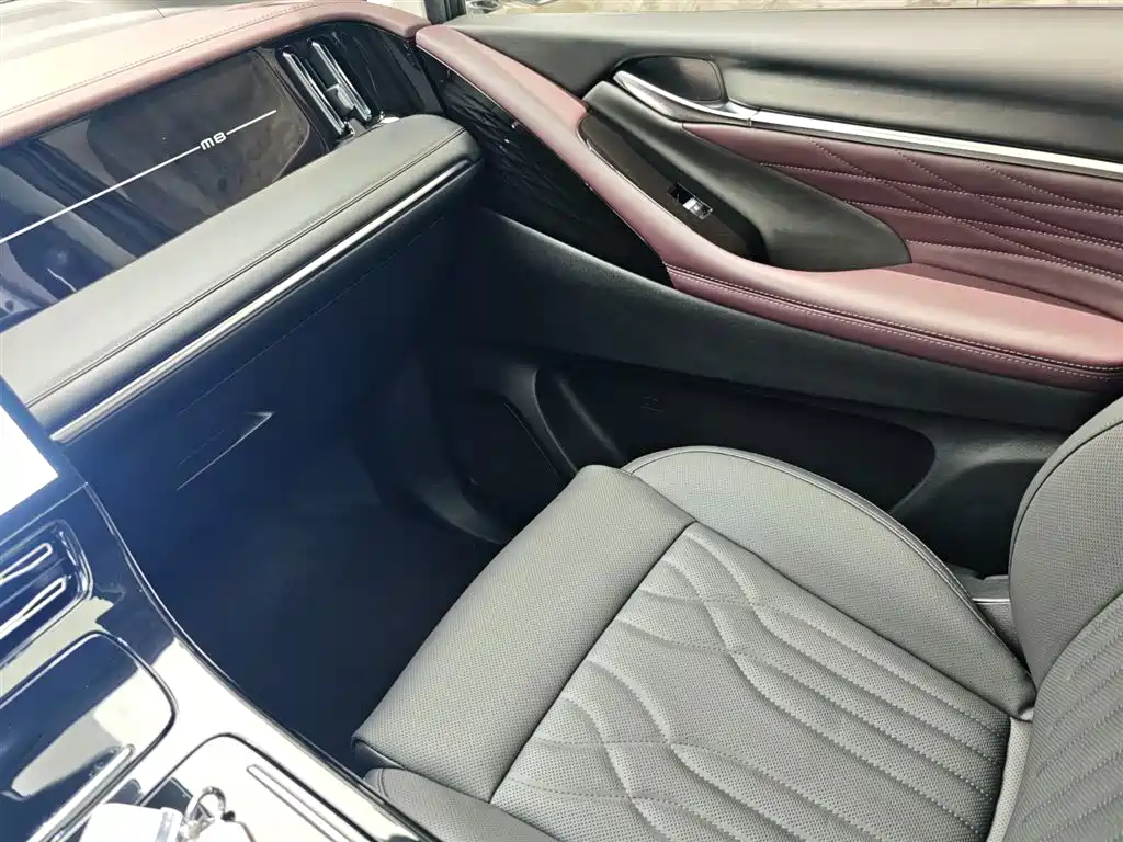 GAC Motor Trumpchi M8 2023 — фото 17