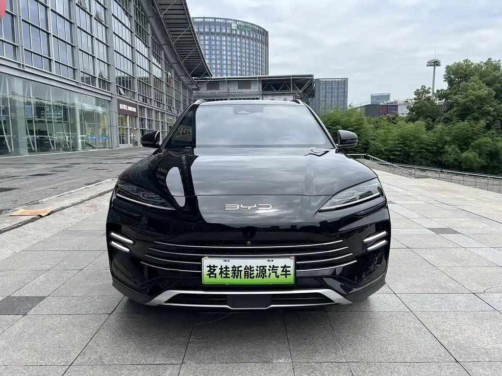 BYD PLUS New Energy 2023 — фото 2