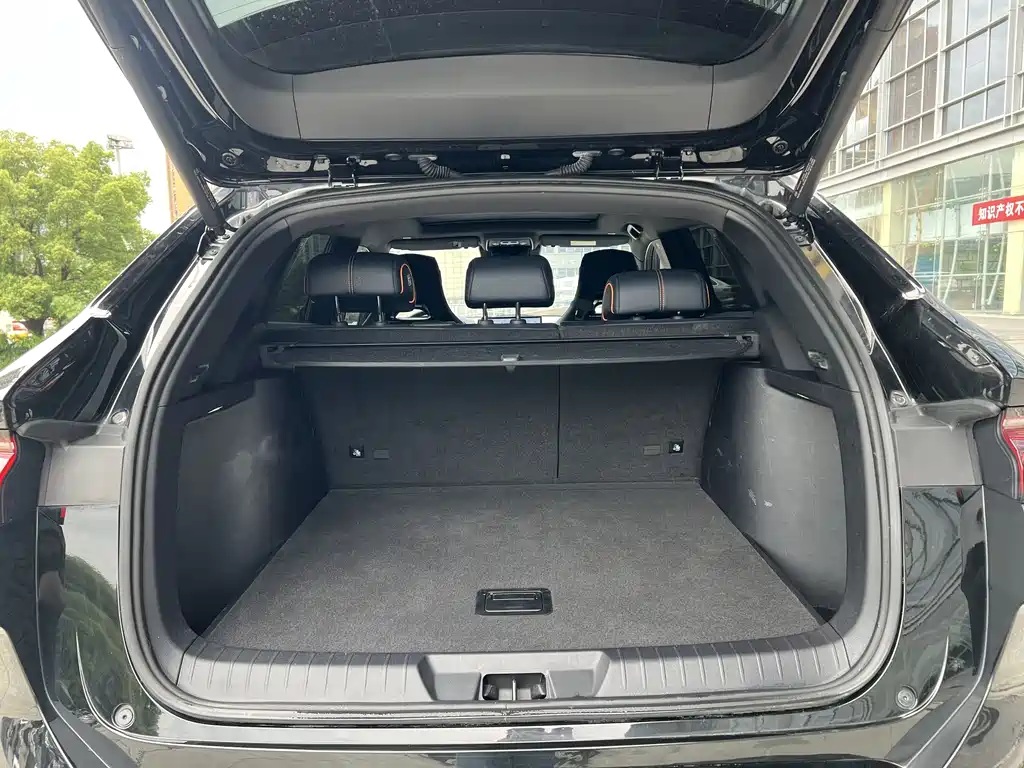 BYD PLUS New Energy 2023 — фото 13