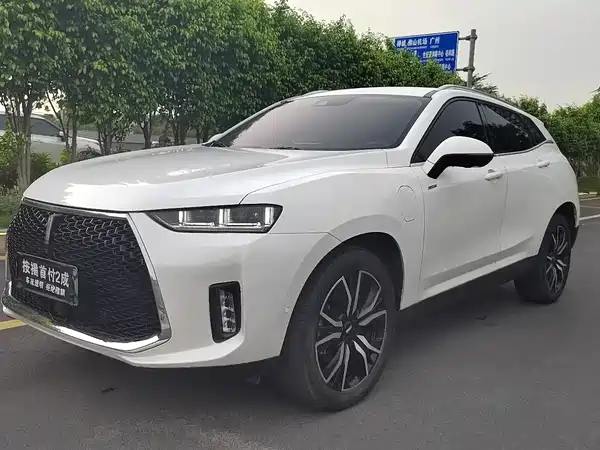 Wey P8 2018