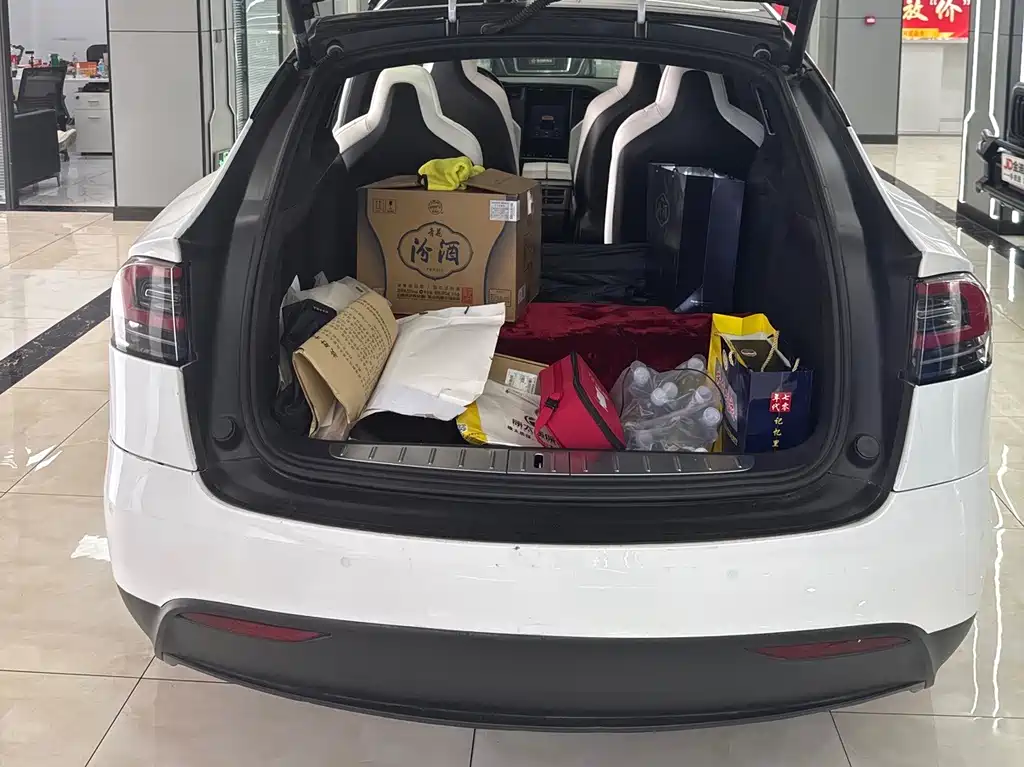Tesla Model X 2019 — фото 14