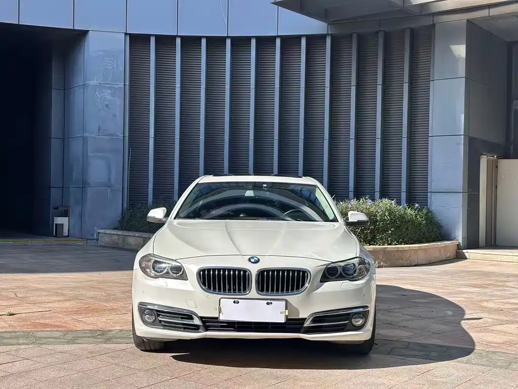 BMW 5 Series 2014 — фото 2