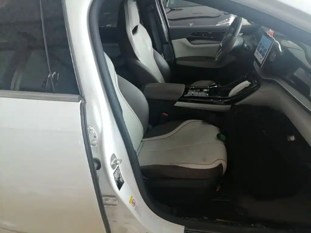 BYD Qin PLUS 2024 — фото 25