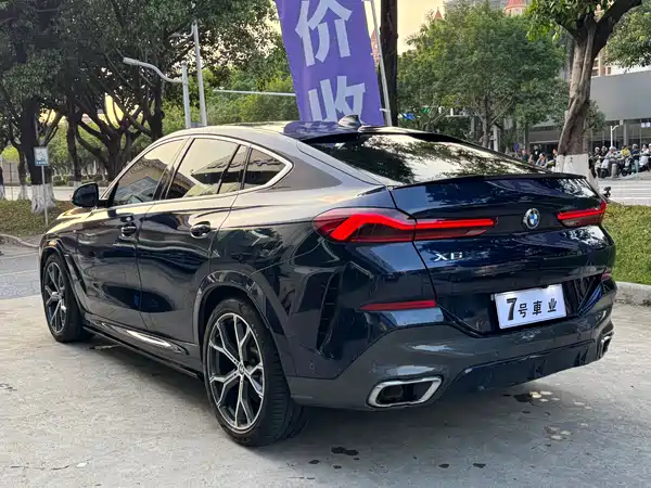 BMW X6 2021
