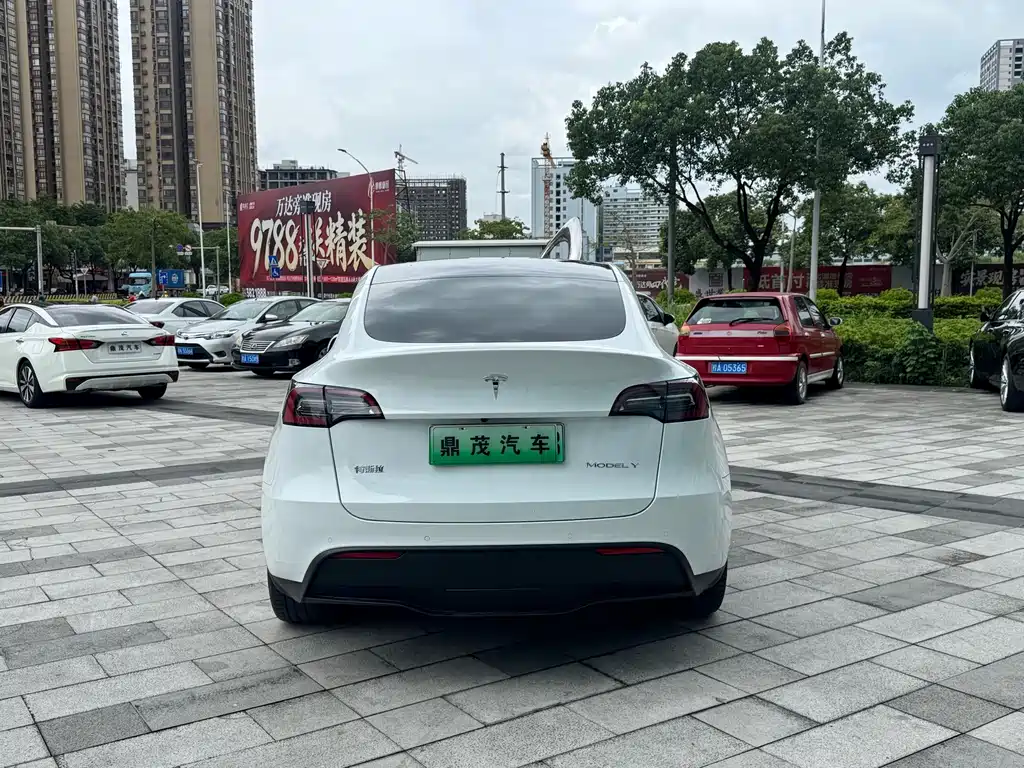 Tesla Model Y 2023 — фото 4