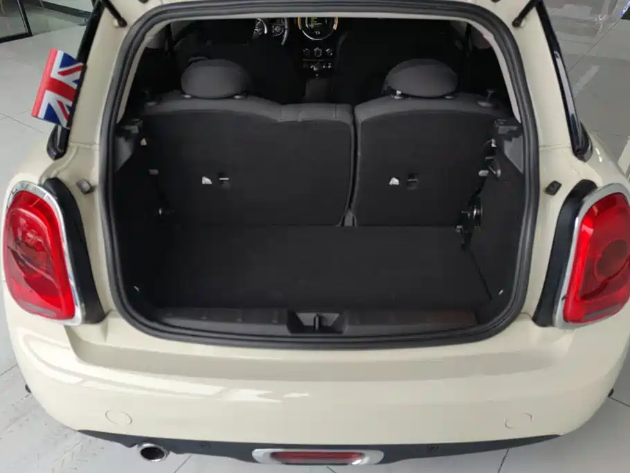 MINI MINI 2018
