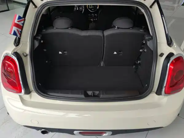 MINI 2018
