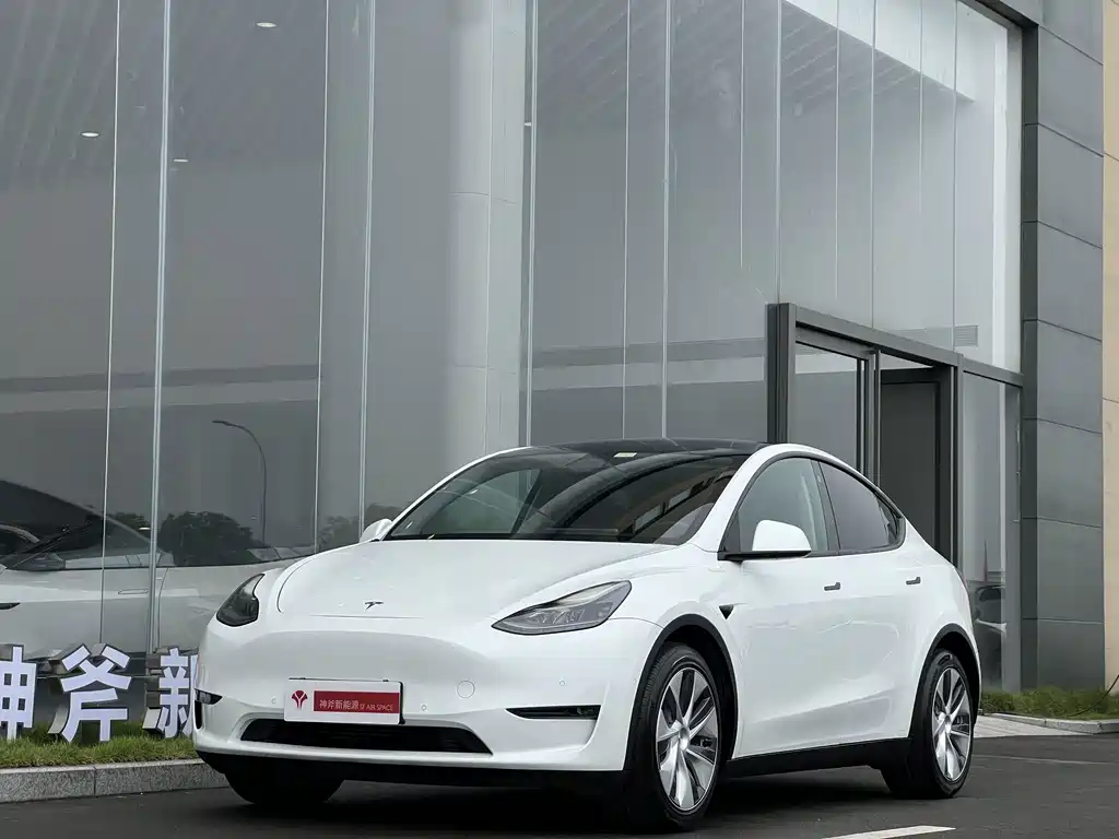 Tesla Model Y 2021 — фото 1