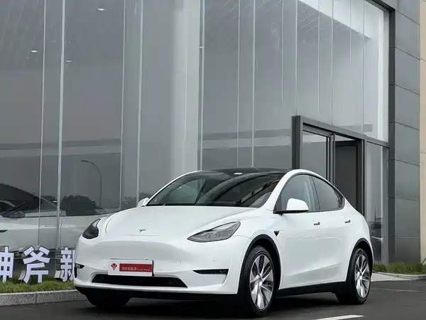 Tesla Model Y 2021