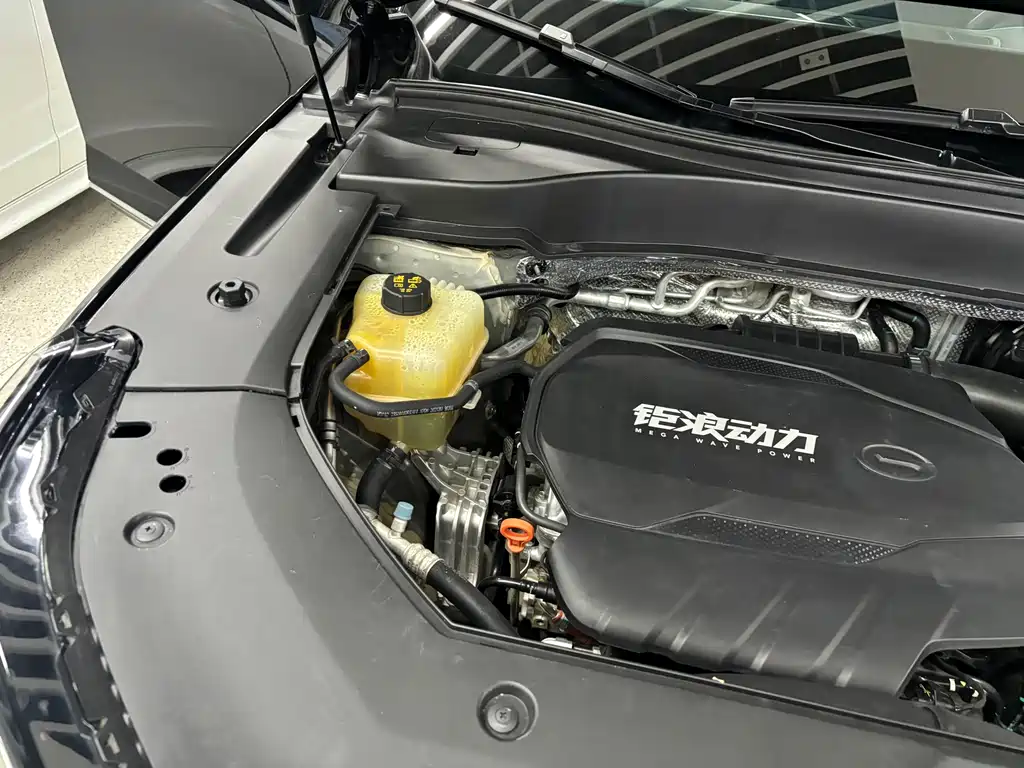 GAC Motor Trumpchi GS8 2023 — фото 16