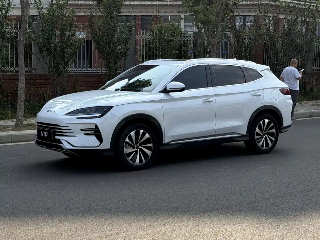 BYD PLUS New Energy 2024 — фото 1