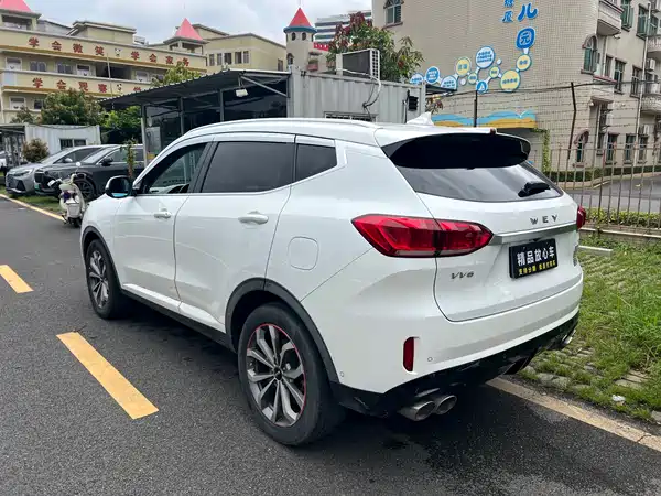 Wey VV6 2019