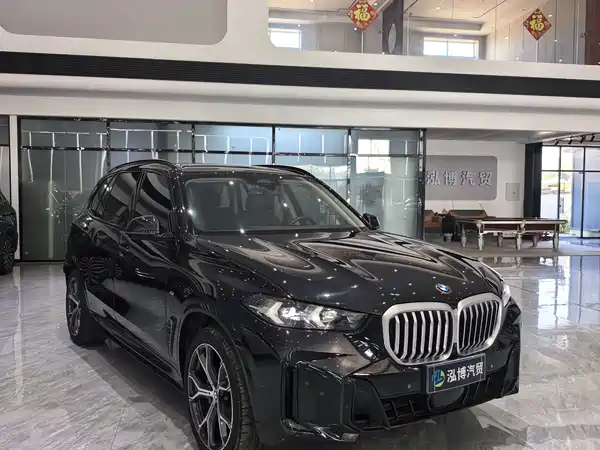 BMW X5 2024