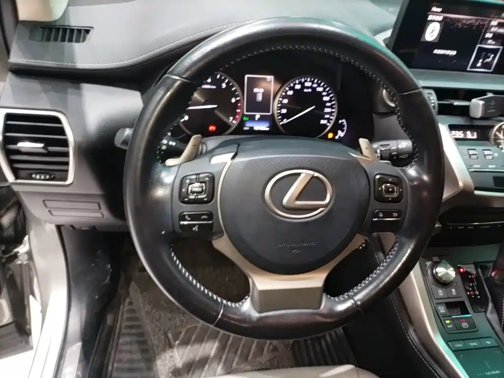 Lexus NX 2019 — фото 11