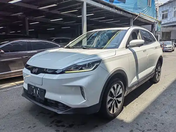 WM Motor EX5 2019