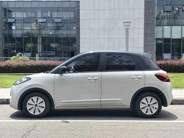 Wuling Bingo 2024