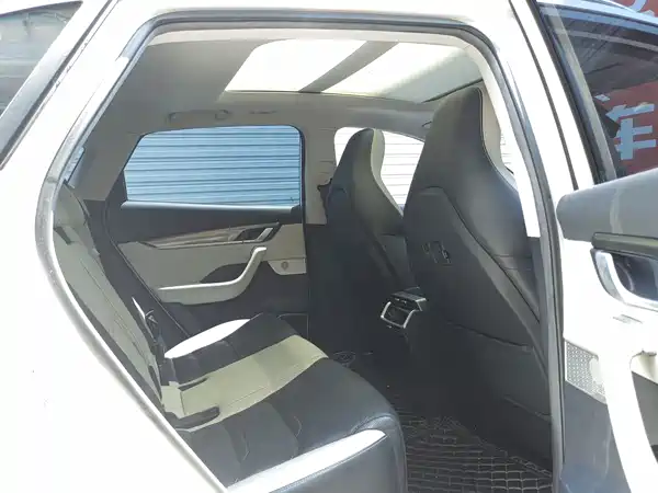 WM Motor EX5 2019