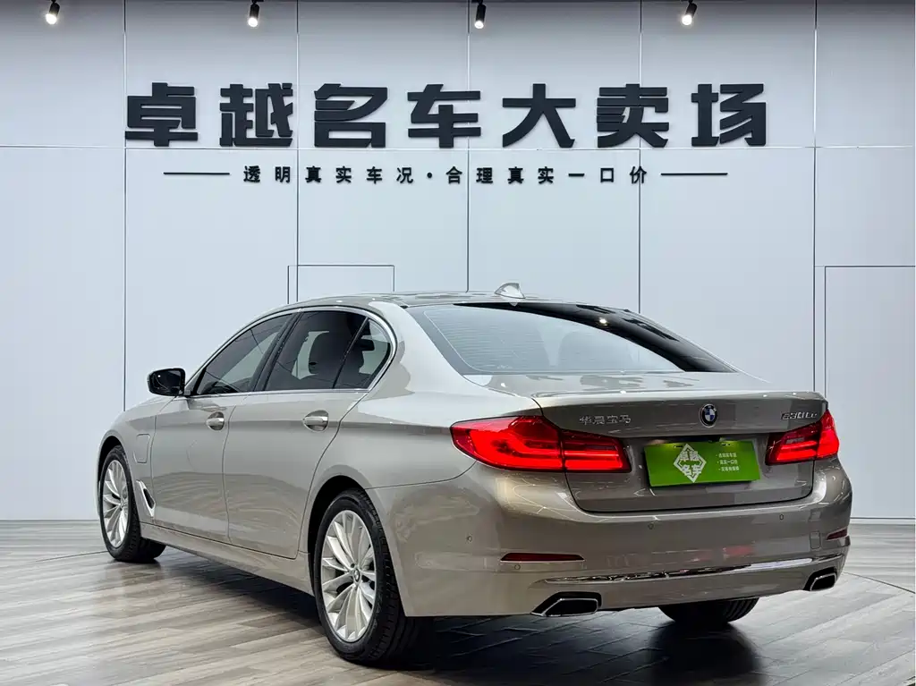 BMW 5 Series New Energy 2019